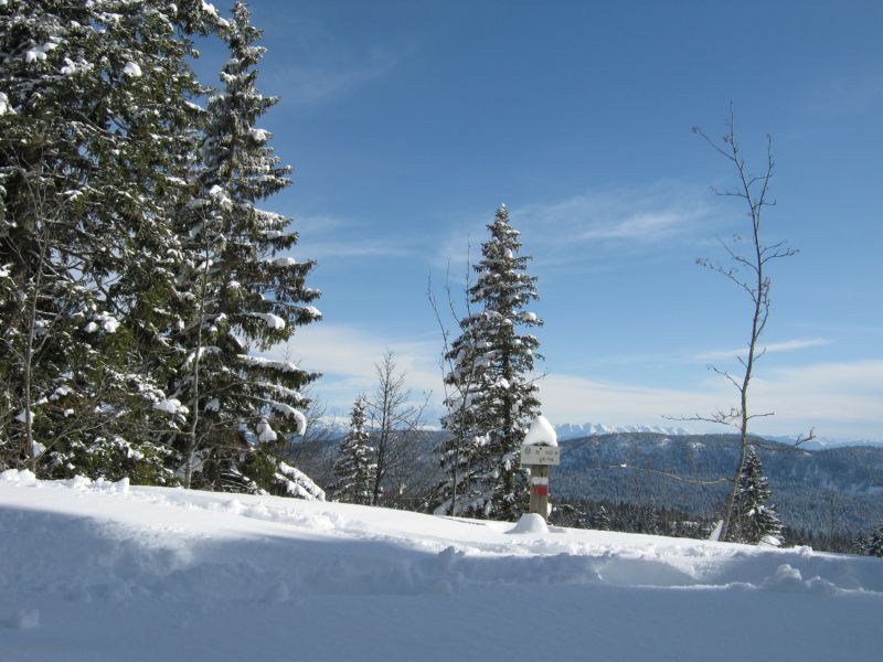 2010-02-21 Pela (07) The Alpes in distance